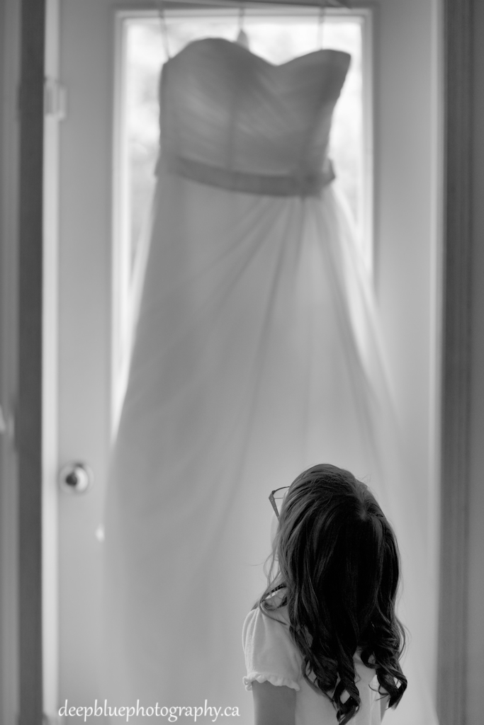 Photo of Flowergirl and Wedding Dress