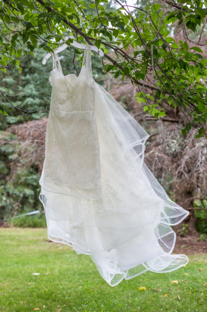 Wedding Dress in a Tree