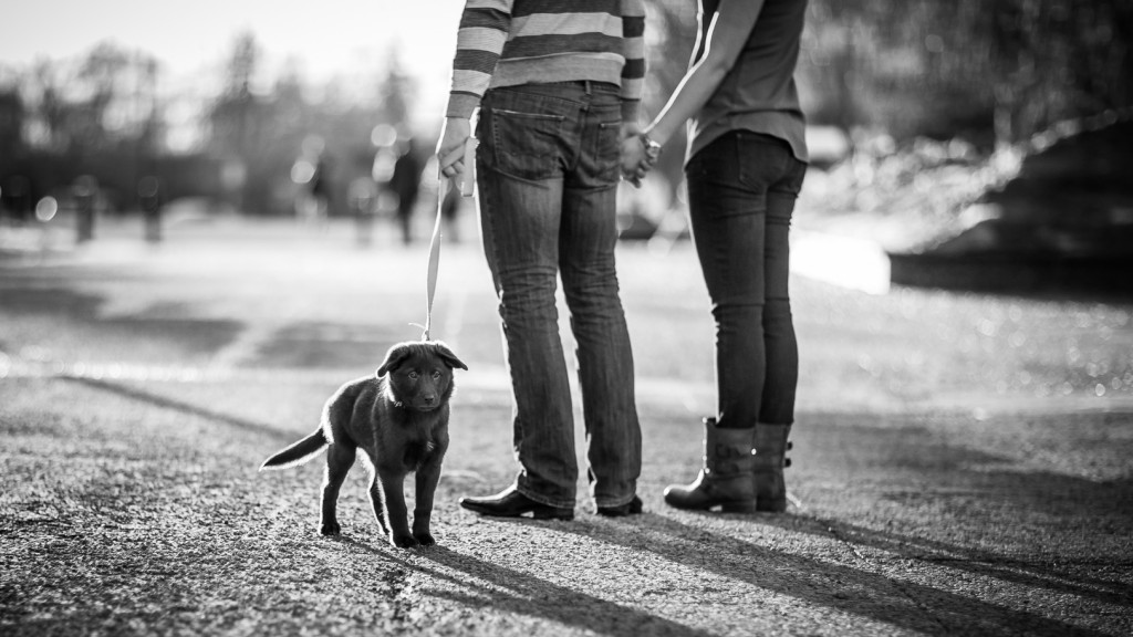 Engagement Photos at Legislature