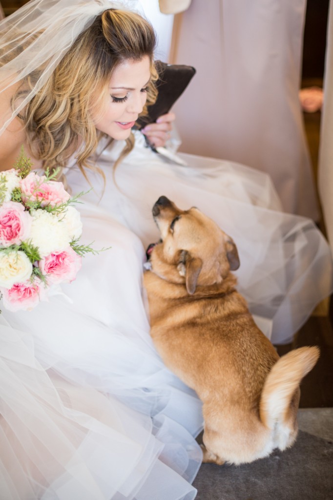 Photo of Bride and Dog