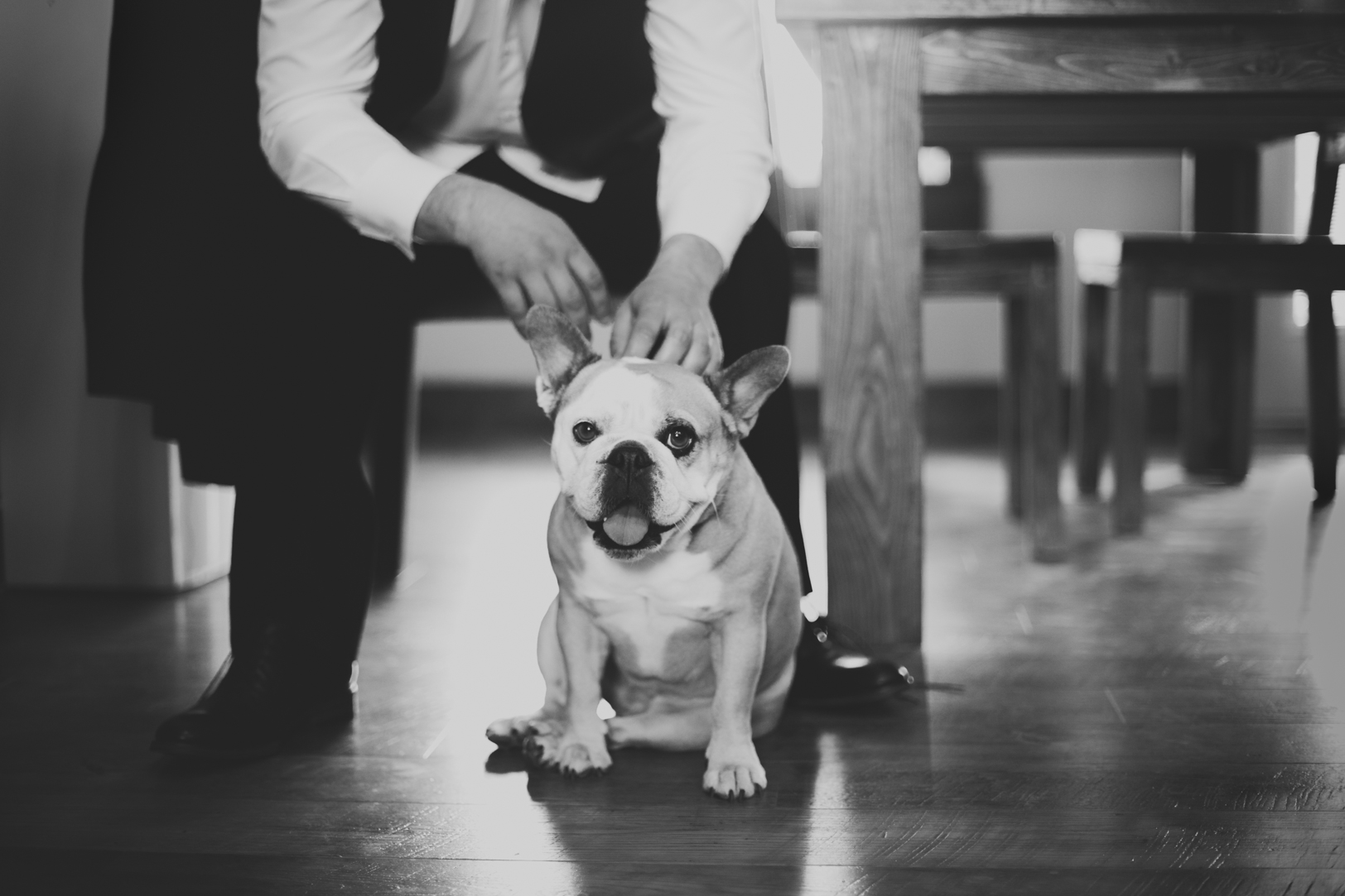 Groom and Dog Portrait