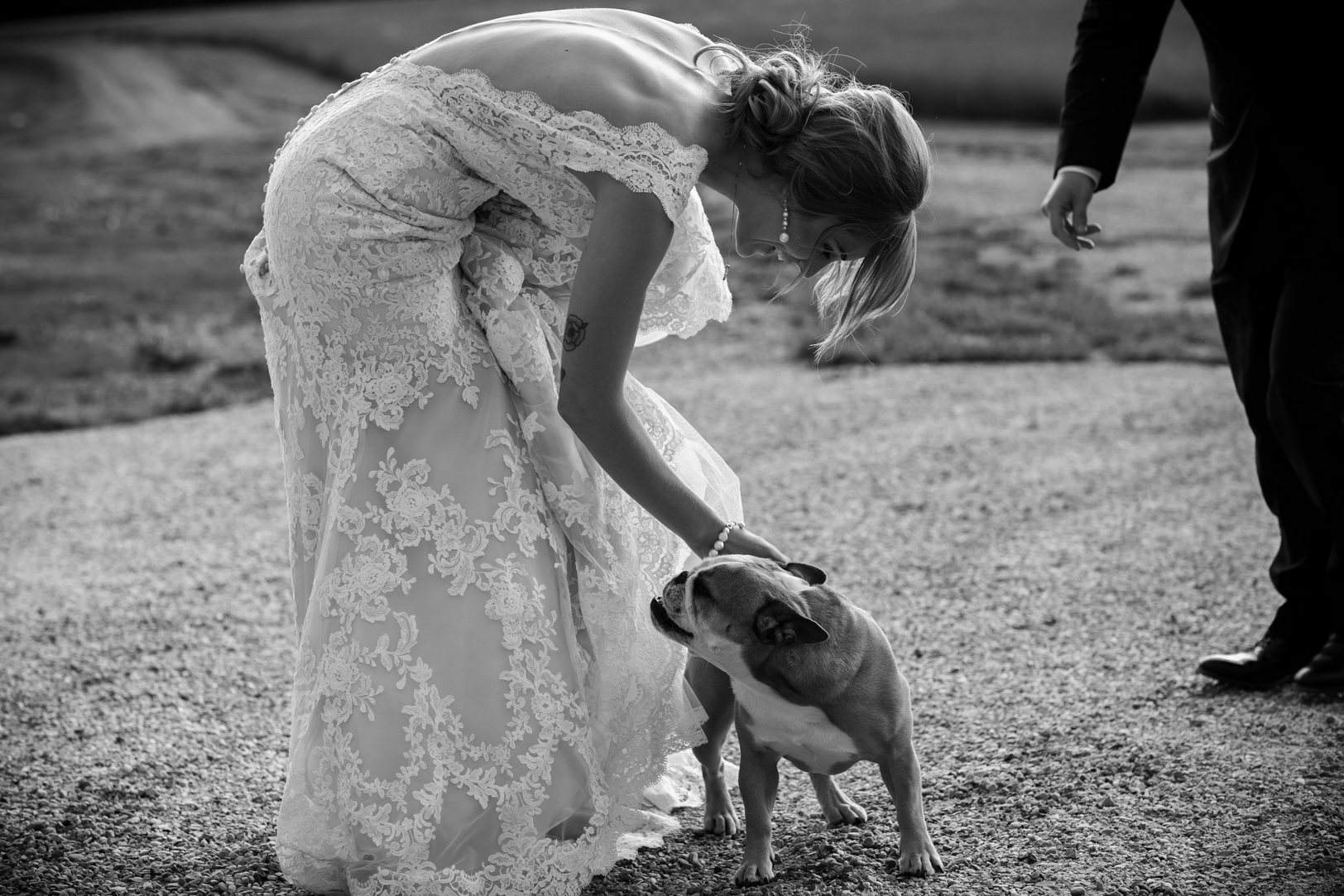 Wedding Photos with Dog