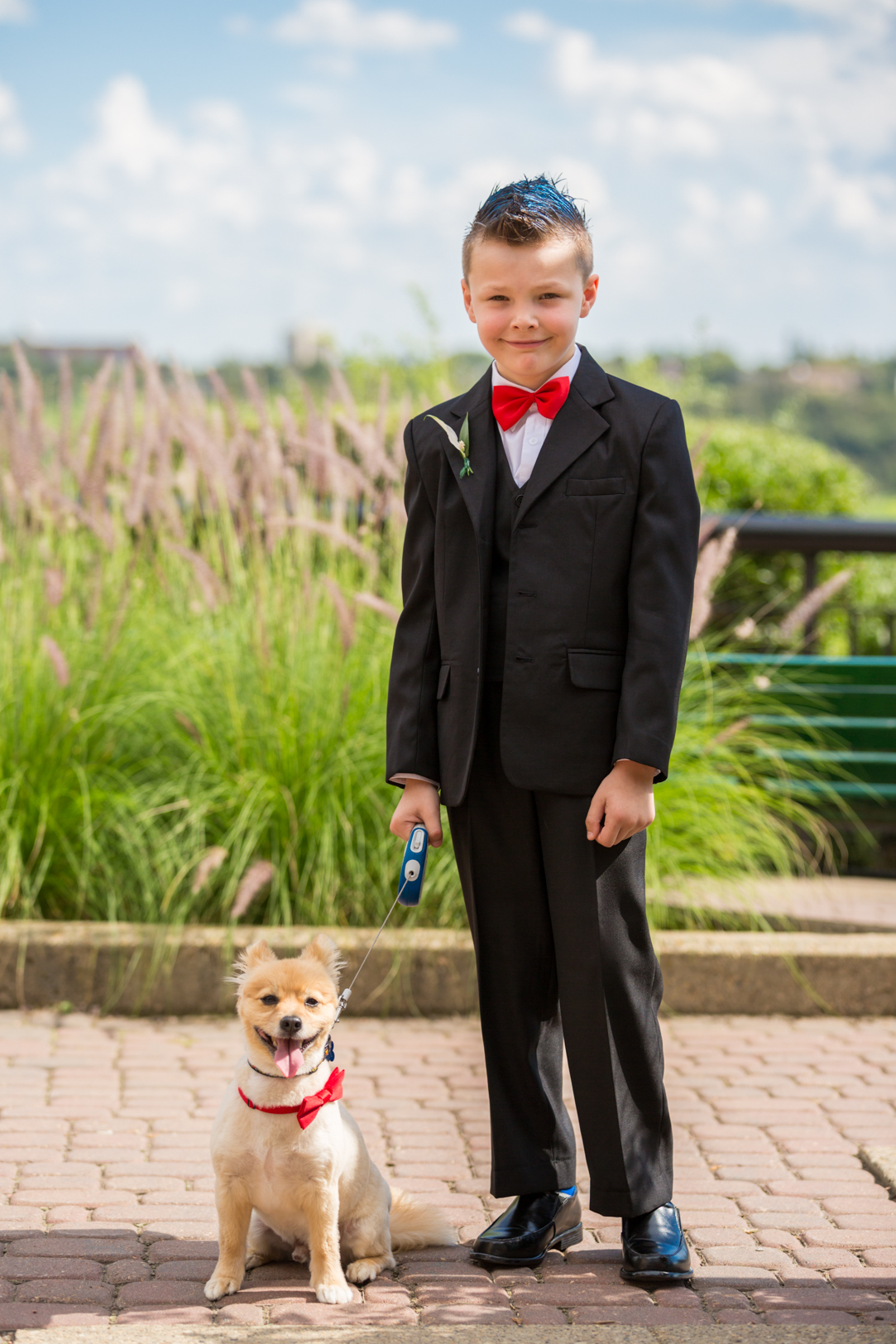 Photo of Doggy Ringbearer