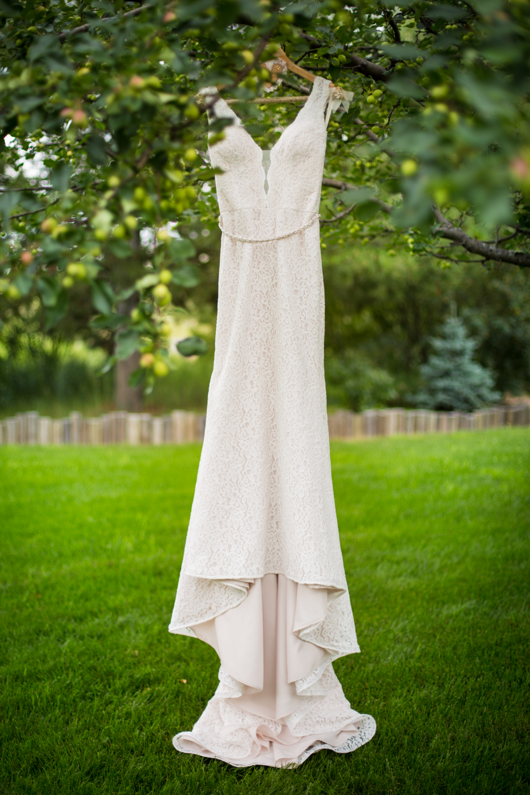 Wedding Dress Hanging in Tree