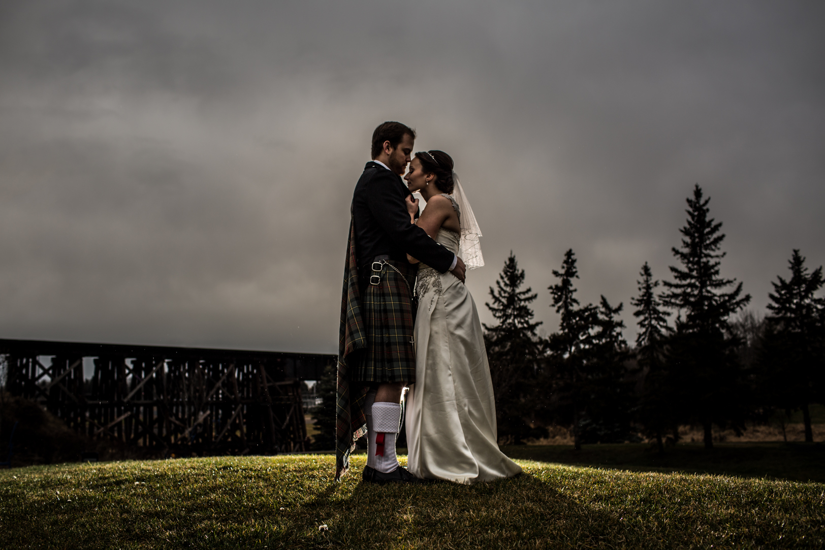 dramatic wedding portrait