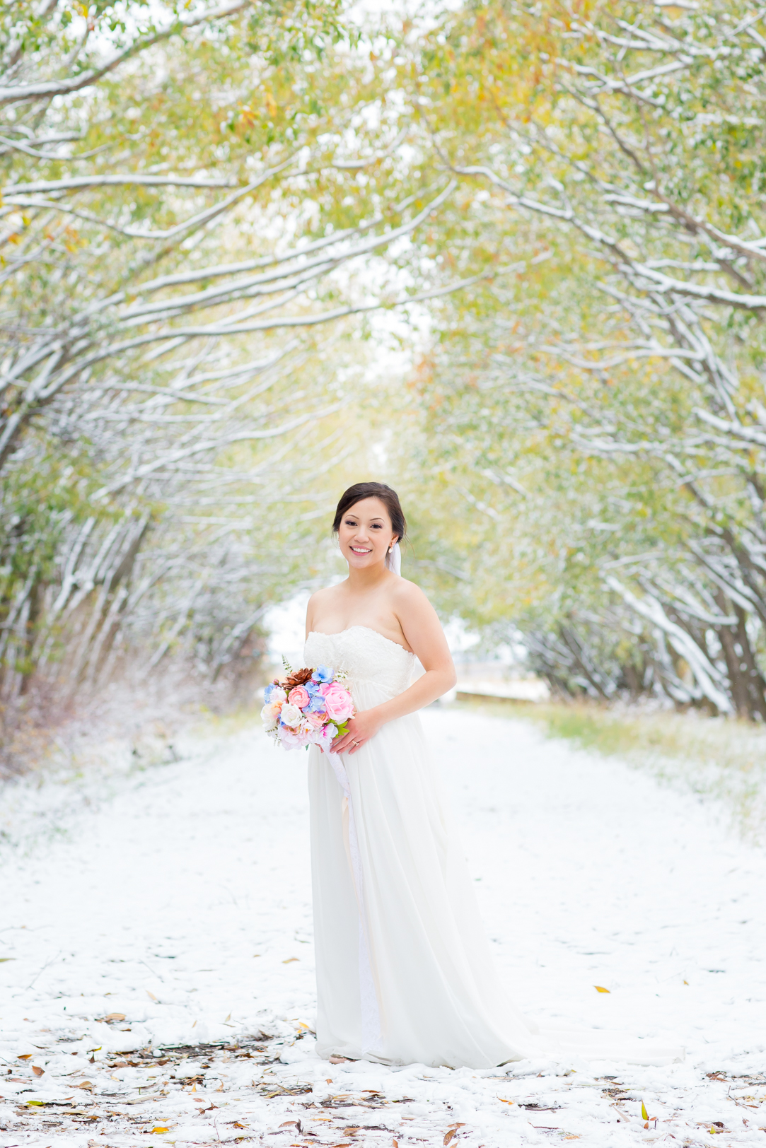 elegant winter bride - Edmonton Autumn Wedding