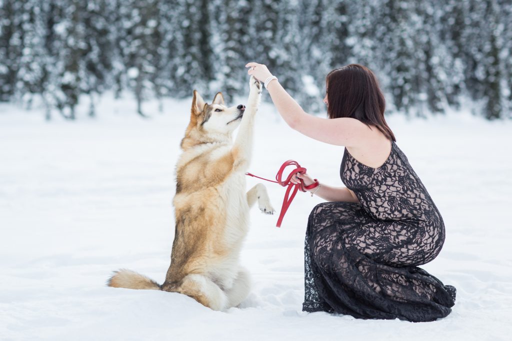 Engagement photos with your dog - Mountain Engagement Photography by Deep Blue Photography