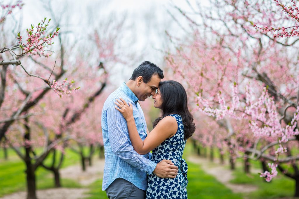 couple standing in cherry blossom trees - Niagara on the Lake Engagement Photos
