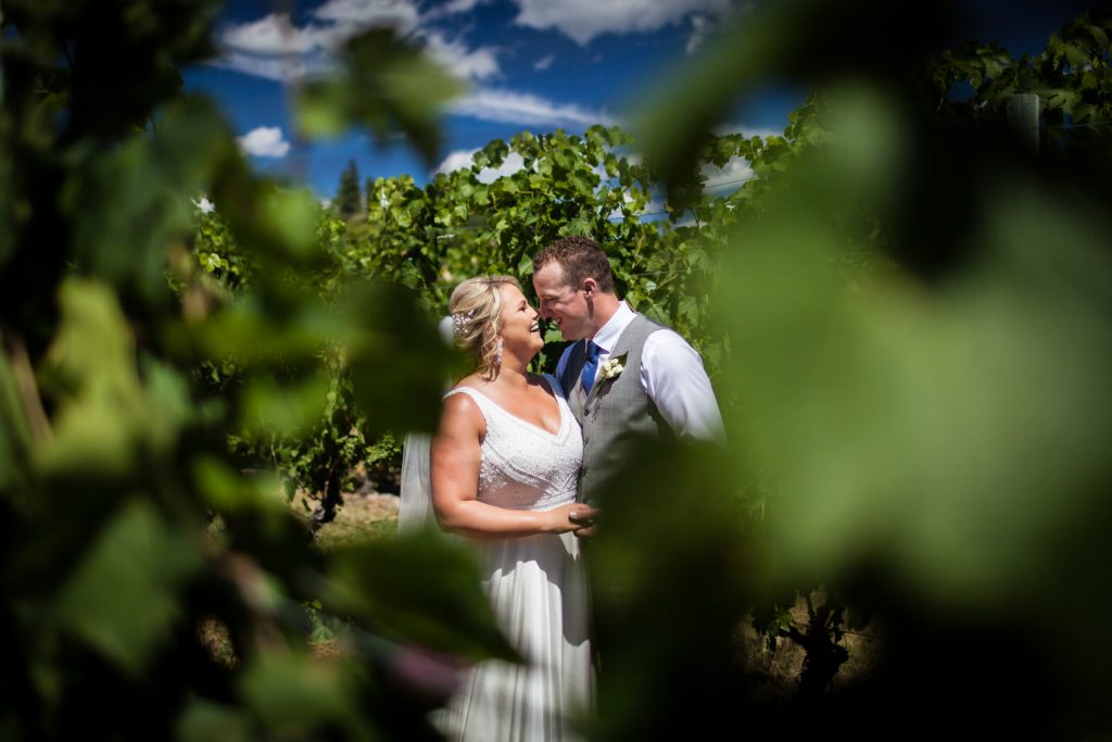 Vineyard wedding photos