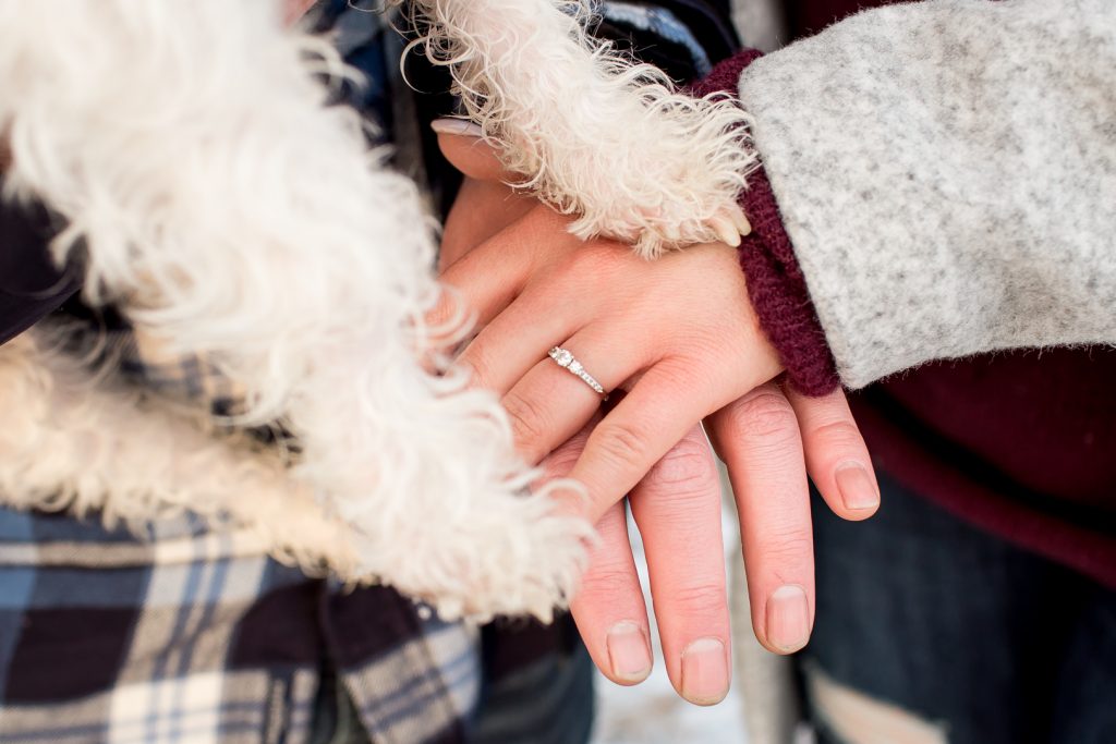 Dog holding hands with owners during engagement session