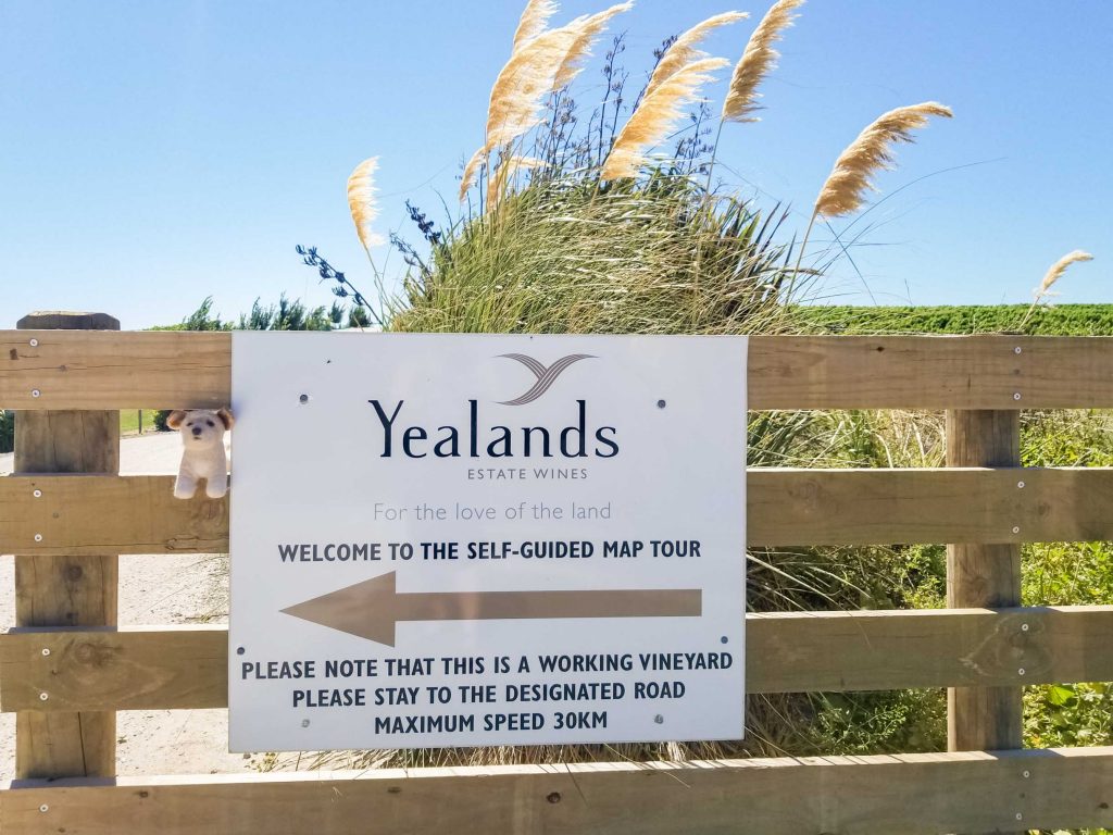 Yealands winery self guided driving tour