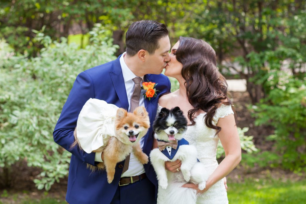 Bride and groom with dogs