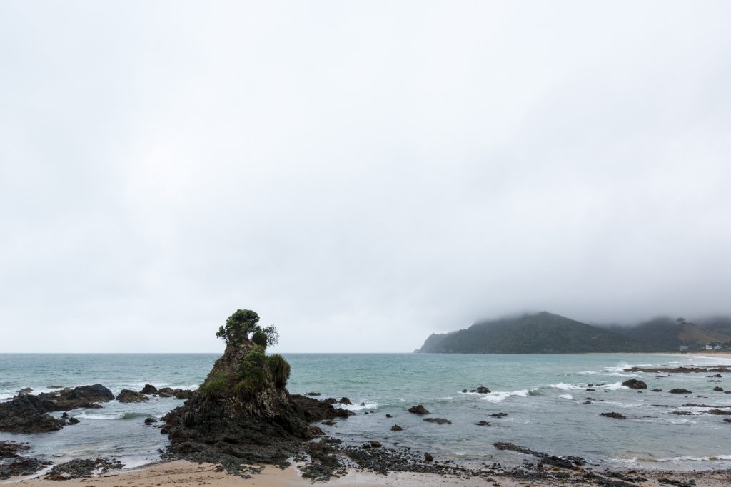 Sea Rocks While Driving the Coromandel Peninsula
