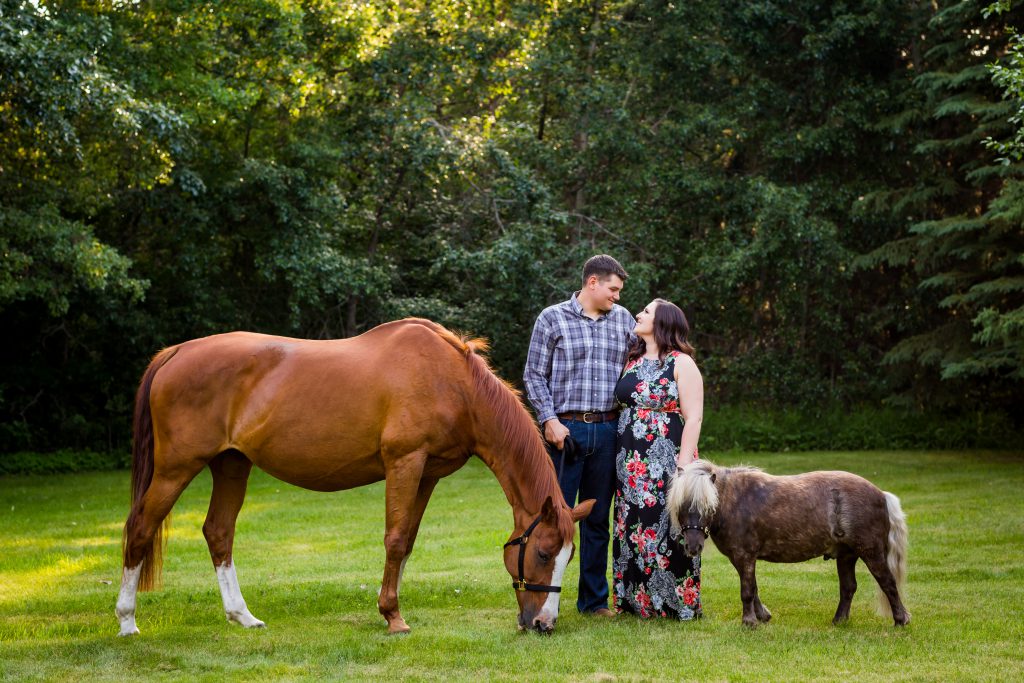 engagement photos with horses